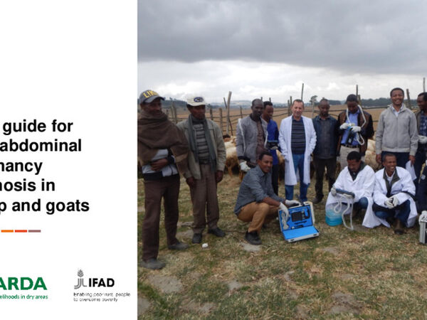 Field guide for transabdominal pregnancy diagnosis in sheep and goats