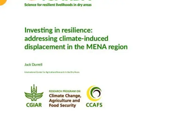 Investing in resilience: addressing climate-induced displacement in the MENA region