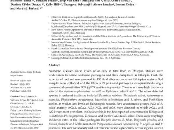 Defining Soilborne Pathogen Complexes Provides a New Foundation for the Effective Management of Faba Bean Root Diseases in Ethiopia