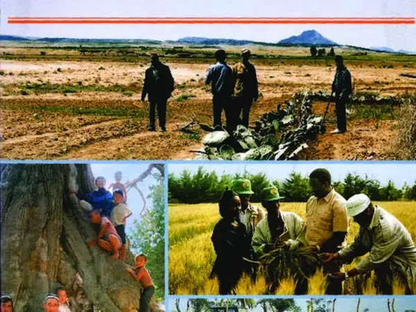ICARDA Annual Report 1997