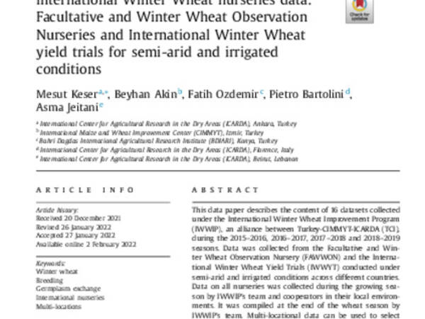 International Winter Wheat nurseries data: Facultative and Winter Wheat Observation Nurseries and International Winter Wheat yield trials for semi-arid and irrigated conditions