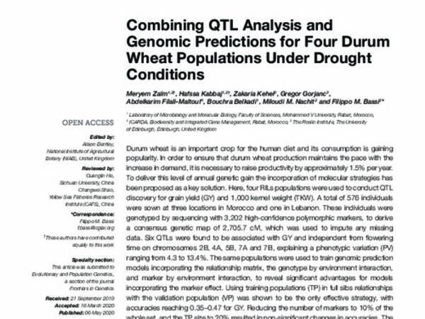 Combining QTL Analysis and Genomic Predictions for Four Durum Wheat Populations Under Drought Conditions