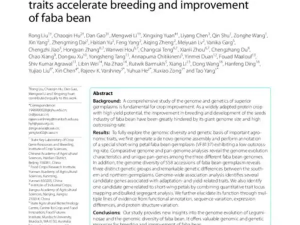 A special short-wing petal faba genome and genetic dissection of floral and yield-related traits accelerate breeding and improvement of faba bean