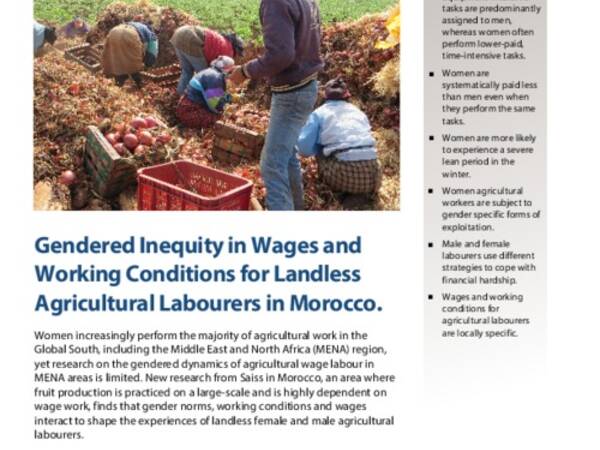 Gendered Inequity in Wages and Working Conditions for Landless Agricultural Labourers in Morocco.