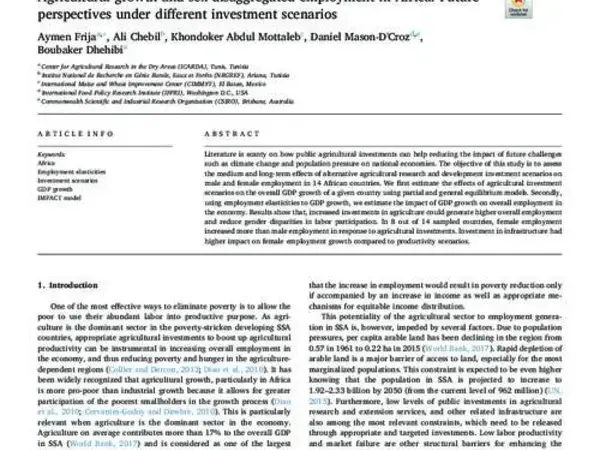 Agricultural growth and sex-disaggregated employment in Africa: Future perspectives under different investment scenarios