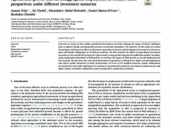 Agricultural growth and sex-disaggregated employment in Africa: Future perspectives under different investment scenarios