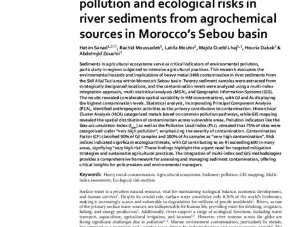 Geospatial analysis of trace metal pollution and ecological risks in river sediments from agrochemical sources in Morocco’s Sebou basin