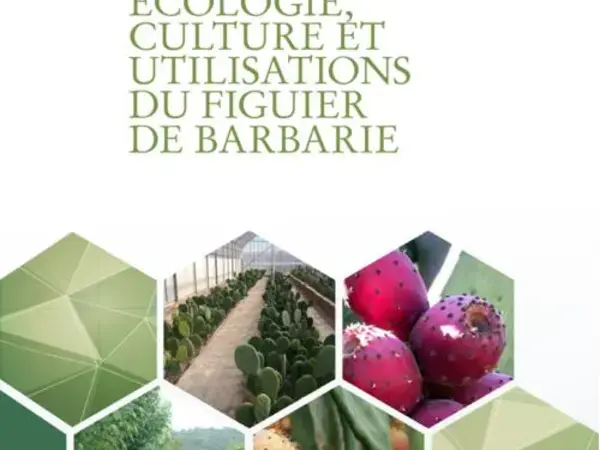  Ecologie, Culture Etutilisations du Figuier De Barbarie