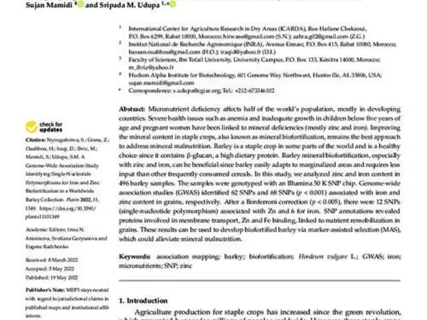A Genome-Wide Association Study Identifying Single-Nucleotide Polymorphisms for Iron and Zinc Biofortification in a Worldwide Barley Collection