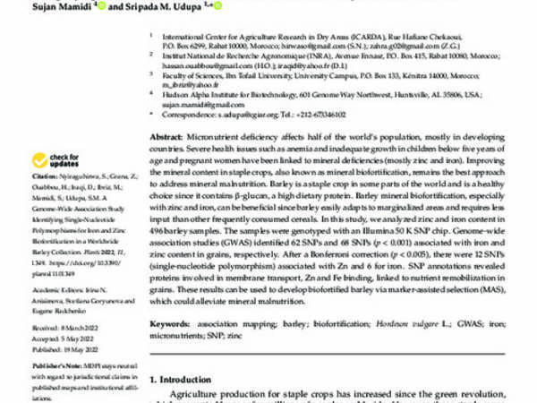 A Genome-Wide Association Study Identifying Single-Nucleotide Polymorphisms for Iron and Zinc Biofortification in a Worldwide Barley Collection