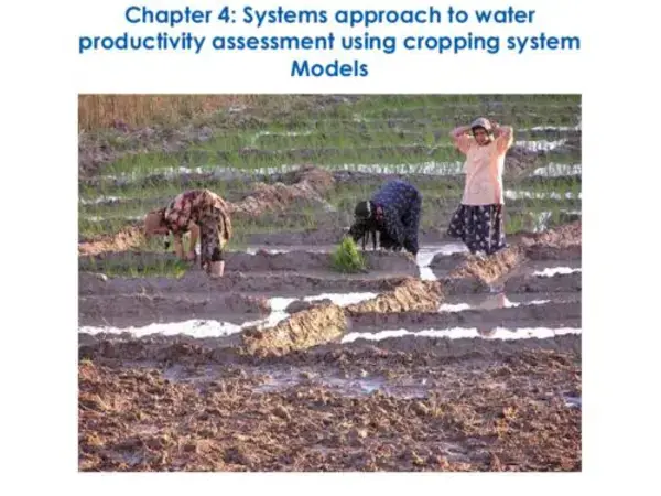Systems approach to water productivity assessment using cropping system Models