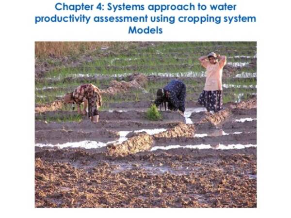 Systems approach to water productivity assessment using cropping system Models