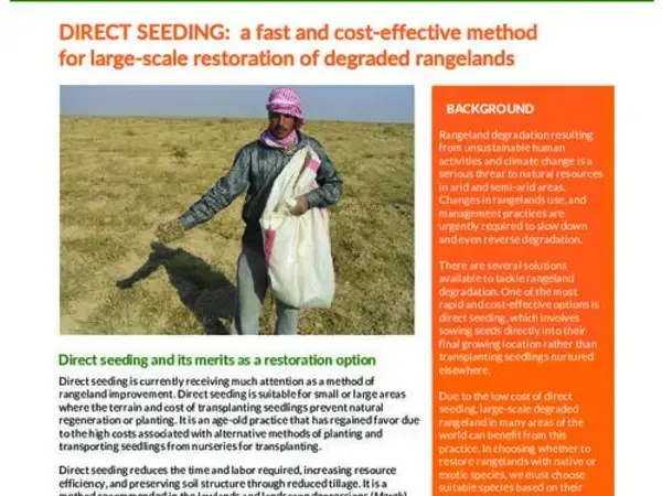 DIRECT SEEDING:  a fast and cost-effective method for large-scale restoration of degraded rangelands 
