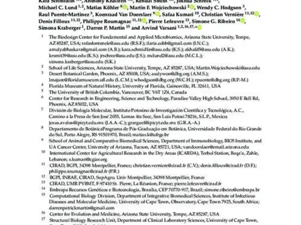 A Novel Divergent Geminivirus Identified in Asymptomatic New World Cactaceae Plants