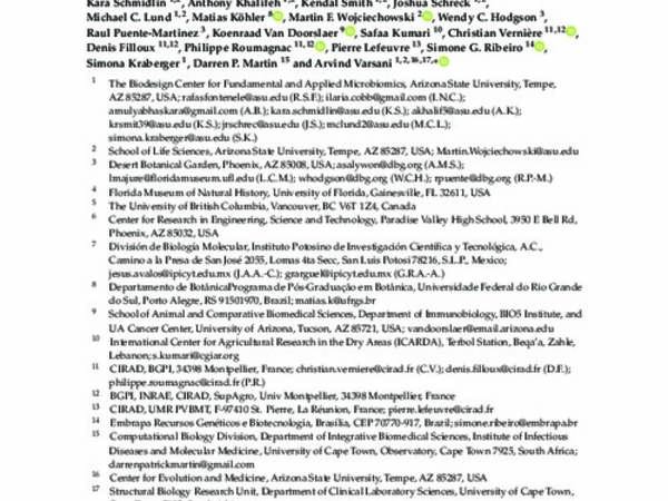 A Novel Divergent Geminivirus Identified in Asymptomatic New World Cactaceae Plants