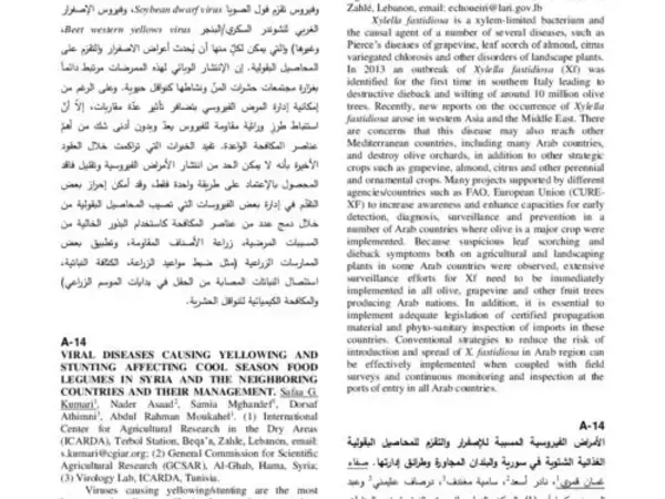 Viral diseases causing yellowing and stunting affecting cool season food legumes in Syria and the neighboring countries and their management