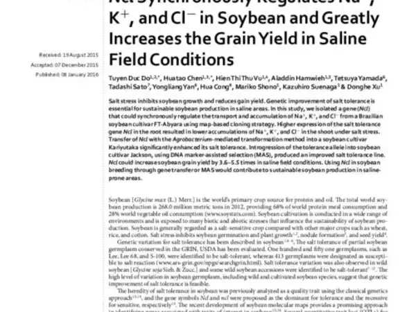 Ncl Synchronously Regulates Na+, K+, and Cl− in Soybean and Greatly Increases the Grain Yield in Saline Field Conditions