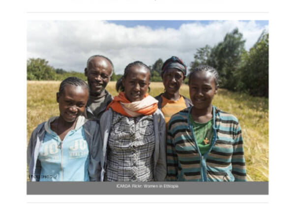 How a new beekeeping tech project is addressing gender inclusivity