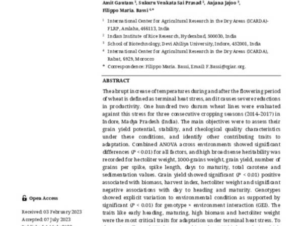 Evaluation of Indian Durum Wheat Genotypes for Yield and Quality Traits Using Additive Main-Effects and Multiplicative Interaction (AMMI) Biplot Analysis under Terminal Heat Stress Conditions