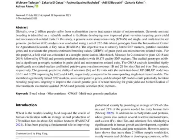 Single‑ and multi‑trait genomic prediction and genome‑wide association analysis of grain yield and micronutrient‑related traits  in ICARDA wheat under drought environment