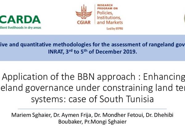 Application of the BBN approach: Enhancing rangeland governance under constraining land tenure systems: case of South Tunisia