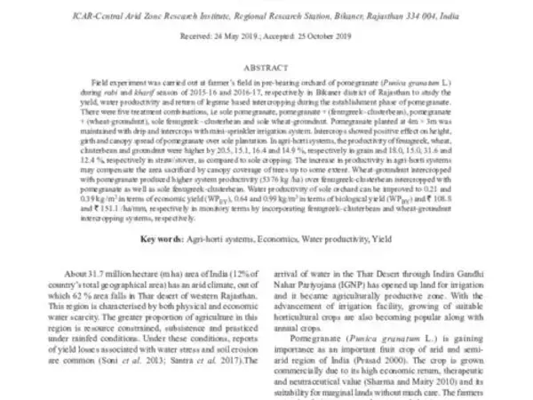Yield, water productivity and economics of legume based agri-horti systems during establishment phase of pomegranate (Punica granatum) in hyper arid partially irrigated zone of western Rajasthan