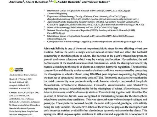 Characterizing Wheat Rhizosphere Bacterial Microbiome Dynamics Under Salinity Stress: Insights from 16S rRNA  Metagenomics for Enhancing Stress Tolerance