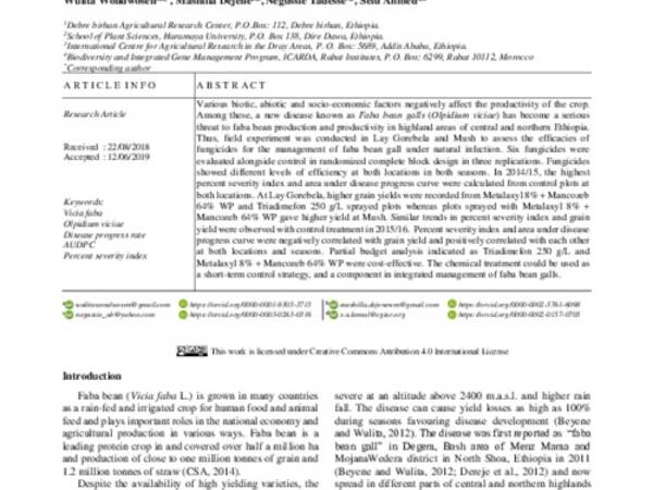 Fungicide Management of Faba Bean Gall (Olpidium viciae) in Ethiopia