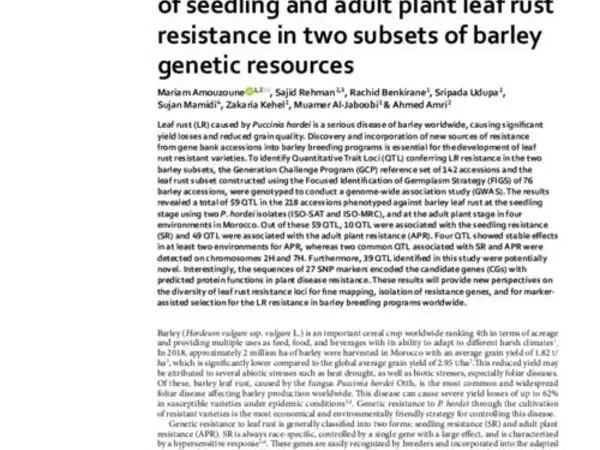 Genome wide association study of seedling and adult plant leaf rust resistance in two subsets of barley genetic resources