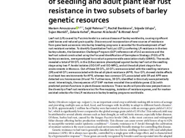 Genome wide association study of seedling and adult plant leaf rust resistance in two subsets of barley genetic resources