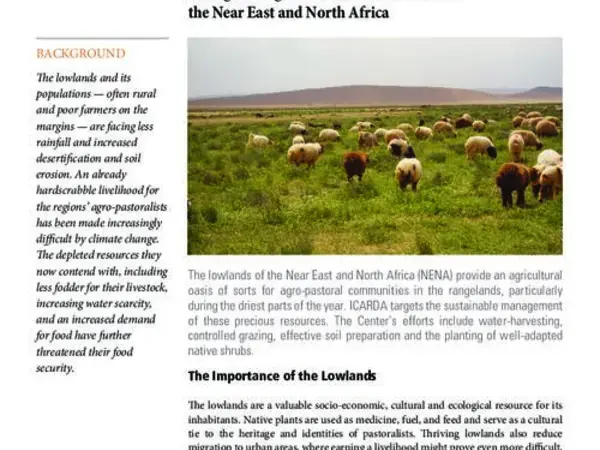 Sustainable Development of Lowlands in Agro-Pastoral Ecosystems: Strengthening the resilience of lowlands in the Near East and North Africa