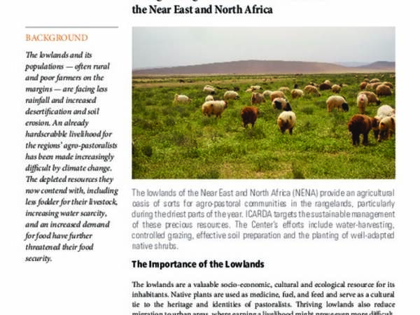 Sustainable Development of Lowlands in Agro-Pastoral Ecosystems: Strengthening the resilience of lowlands in the Near East and North Africa