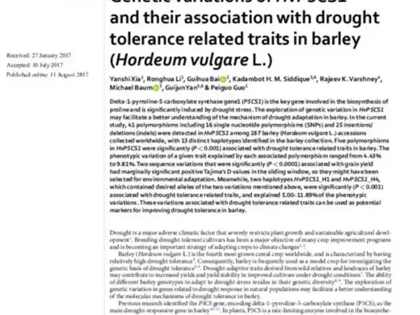 Genetic variations of HvP5CS1 and their association with drought tolerance related traits in barley (Hordeum vulgare L.)