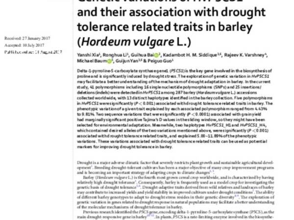 Genetic variations of HvP5CS1 and their association with drought tolerance related traits in barley (Hordeum vulgare L.)