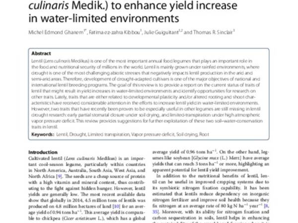 Opportunities to improve the seasonal dynamics of water use in lentil (Lens culinaris Medik.) to enhance yield increase in water‑limited environments