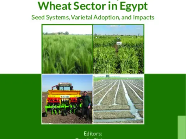 Political Economy of the  Wheat Sector in Egypt: Seed Systems, Varietal Adoption, and Impacts