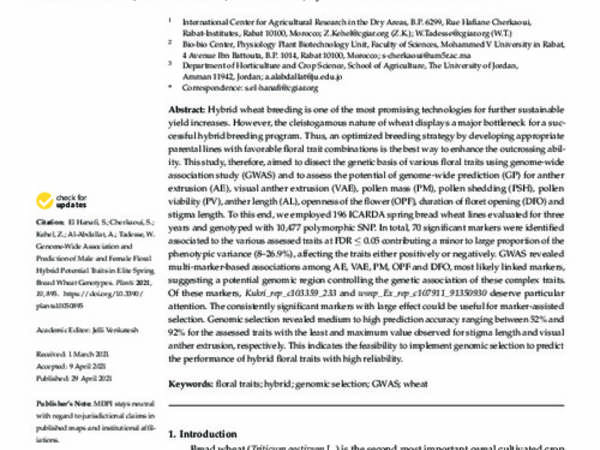 Genome-Wide Association and Prediction of Male and Female Floral Hybrid Potential Traits in Elite Spring Bread Wheat Genotypes