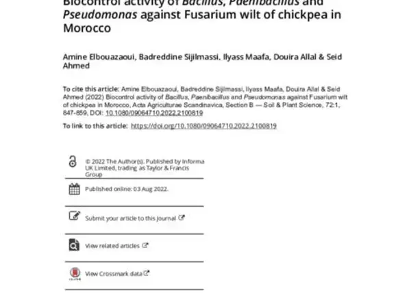 Biocontrol activity of Bacillus, Paenibacillus and Pseudomonas against Fusarium wilt of chickpea in Morocco