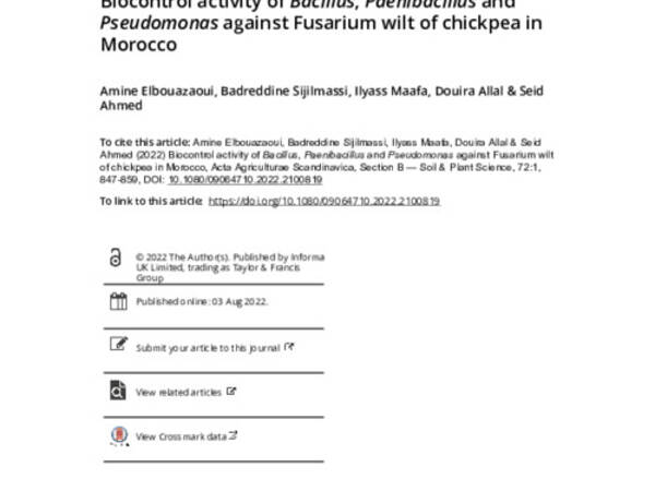 Biocontrol activity of Bacillus, Paenibacillus and Pseudomonas against Fusarium wilt of chickpea in Morocco