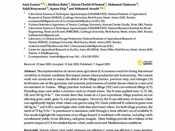 Effect of Tillage, Previous Crop, and N Fertilization on Agronomic and Economic Performances of Durum Wheat (Triticum durum Desf.) under Rainfed Semi-Arid Environment