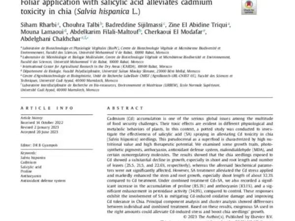Foliar application with salicylic acid alleviates cadmium toxicity in chia (Salvia hispanica L.)