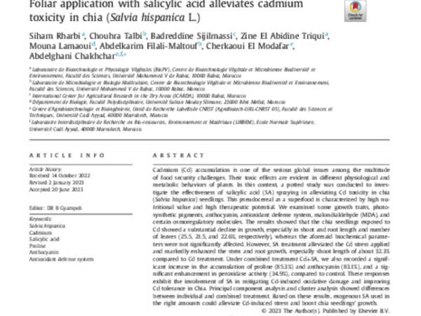 Foliar application with salicylic acid alleviates cadmium toxicity in chia (Salvia hispanica L.)