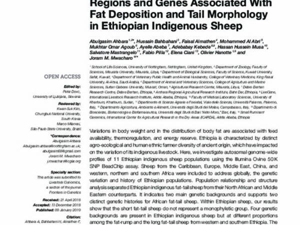 Genome-Wide Variation, Candidate Regions and Genes Associated With Fat Deposition and Tail Morphology in Ethiopian Indigenous Sheep