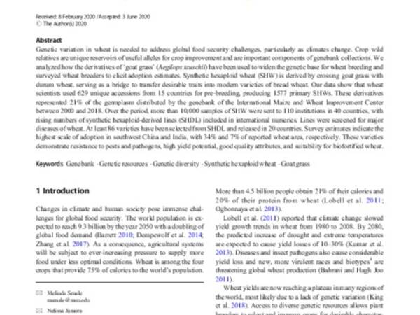 Transferring diversity of goat grass to farmers’ fields through the development of synthetic hexaploid wheat