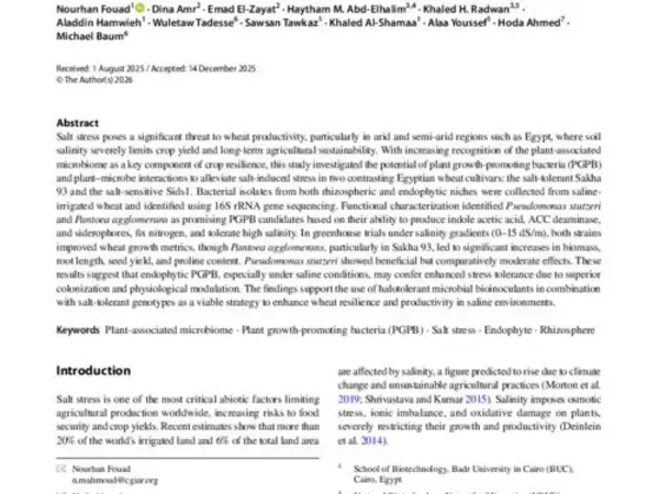 Harnessing the plant‑associated microbiome: Rhizosphere and endophyte plant growth‑promoting bacteria (PGPB) to mitigate salt stress in the Egyptian wheat