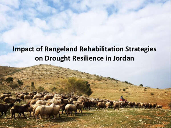 Impact of Rangeland Rehabilitation Strategies on Drought Resilience in Jordan