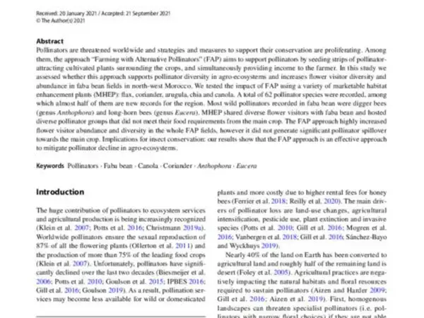 “Farming with Alternative Pollinators” approach increases pollinator abundance and diversity in faba bean fields
