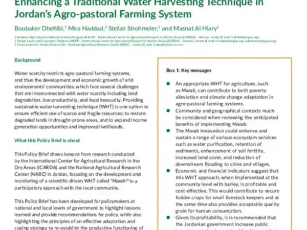 Enhancing a Traditional Water Harvesting Technique in  Jordan’s Agro-pastoral Farming System 