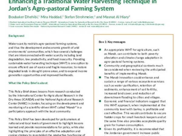 Enhancing a Traditional Water Harvesting Technique in  Jordan’s Agro-pastoral Farming System 