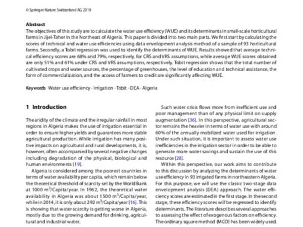 The water use efficiency and its determinants in small horticultural farms in Algeria